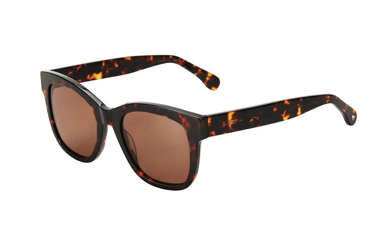 CTS.BRONTE SHN/TOR 54 COAST sunglasses - George & Matilda Eyecare and Optometrist