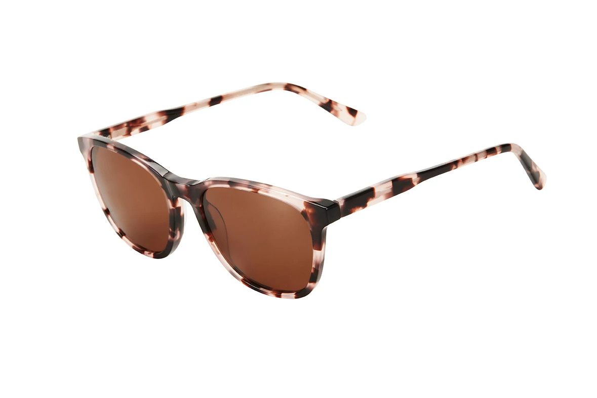 CTS.DBAH SHN/TOR 53 COAST sunglasses - George & Matilda Eyecare and Optometrist