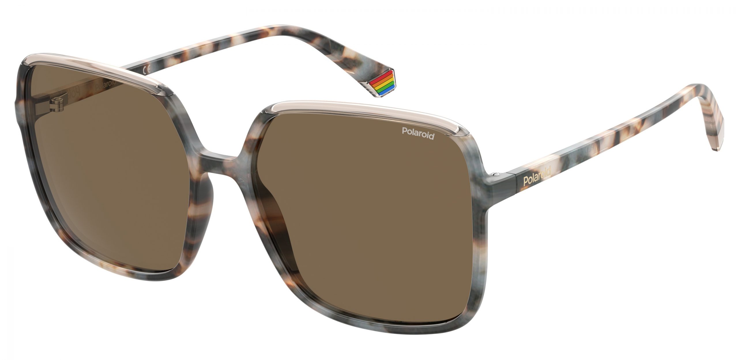 Polaroid CTS.AVOCA MAT/BLK 58 sunglasses - George & Matilda Eyecare and Optometrist